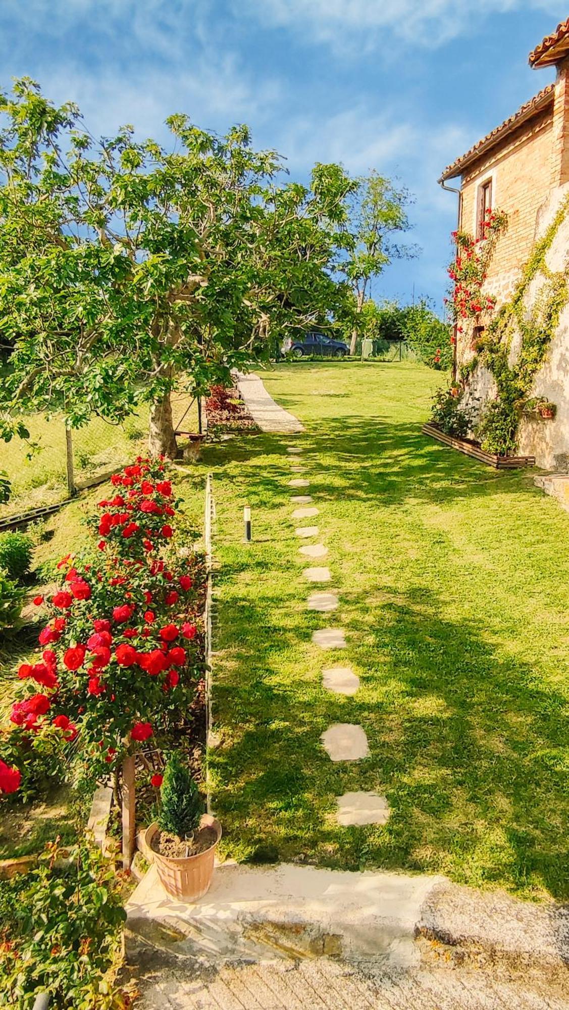 Villa Il Tuo Casale Tra Le Colline - Marche House Venarotta Exterior foto